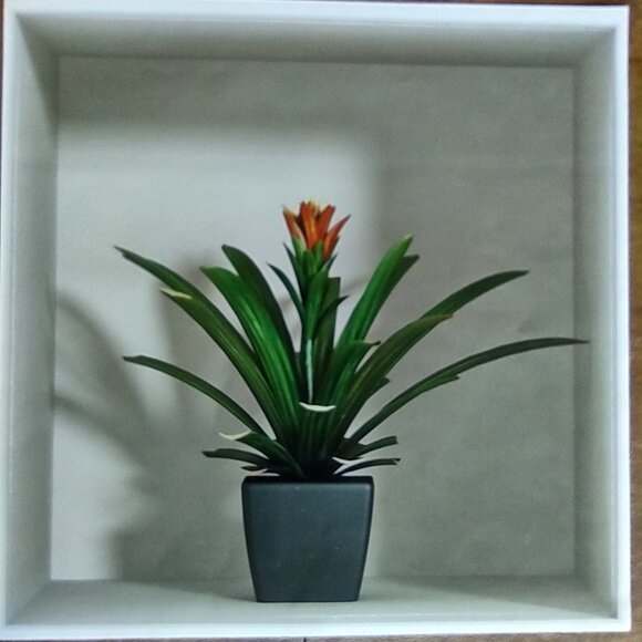 Wall Decals Set of 3 Shadowbox Tropical Plants - Picture 3 of 10